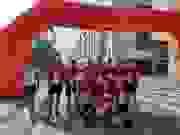 2754d6ec-aa1f-4247-91a2-4c4c266e5171