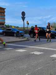 3bcbc1b5-4a69-4a35-8e10-3b01ad400a4a