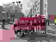 3cf17468-24a3-47db-880b-89864f8d8a0d