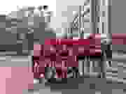 b813dafc-cee0-4840-801e-7e4d6e1b69c5