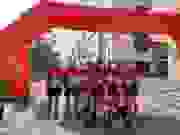 ea4a95db-4c16-4dd5-ae87-d54cc6f74f1b